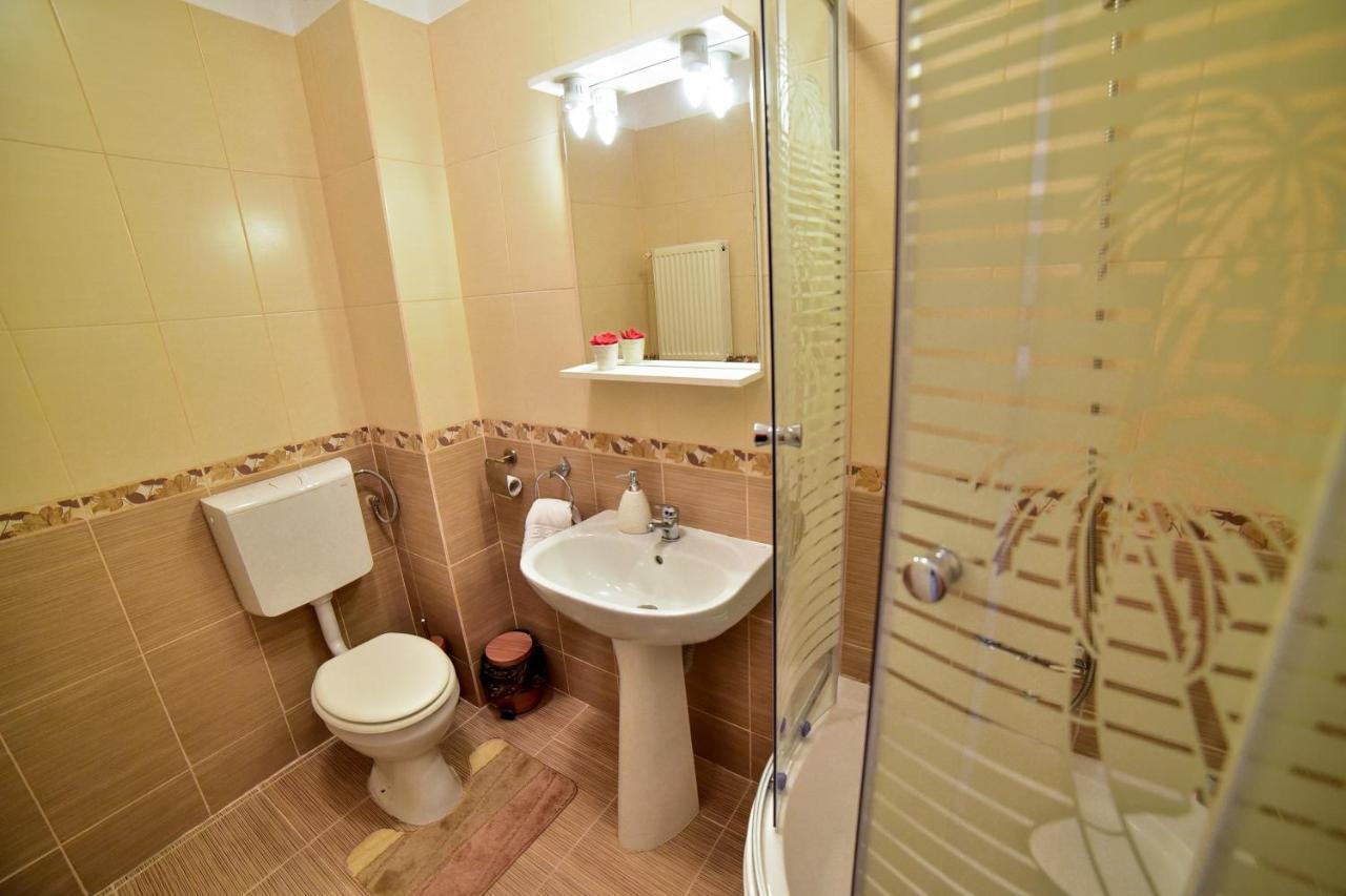 Flh - Apartament Central Silva Сибиу Екстериор снимка