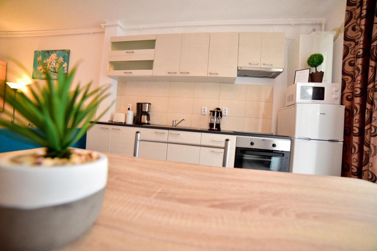 Flh - Apartament Central Silva Сибиу Екстериор снимка